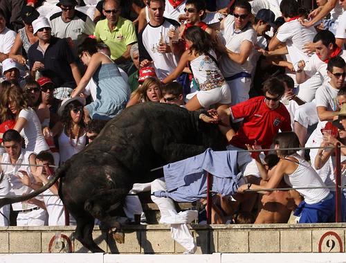 toro volador de tafalla